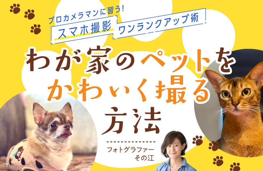 プロカメラマンに習う! スマホ撮影 ワンランクアップ術【4】わが家のペットをかわいく撮る方法